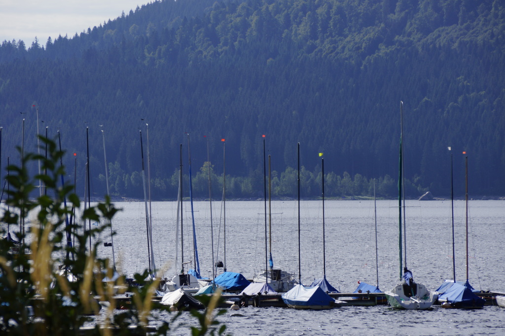 Schluchsee im Augustm 2015 Schluchsee im Augustm 2015
