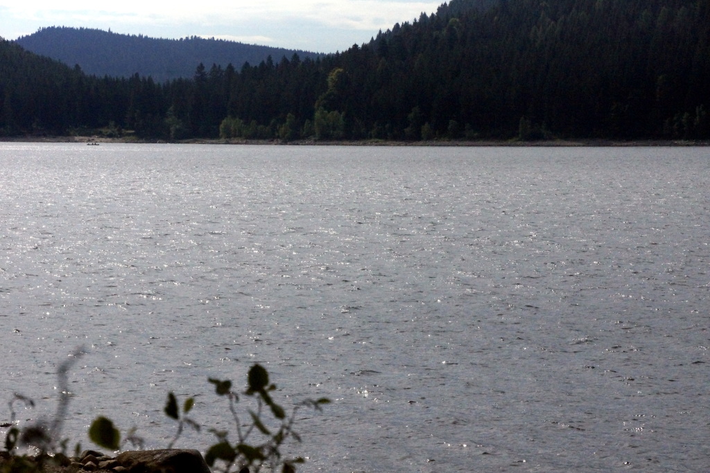 Schluchsee im Augustm 2015 Schluchsee im Augustm 2015