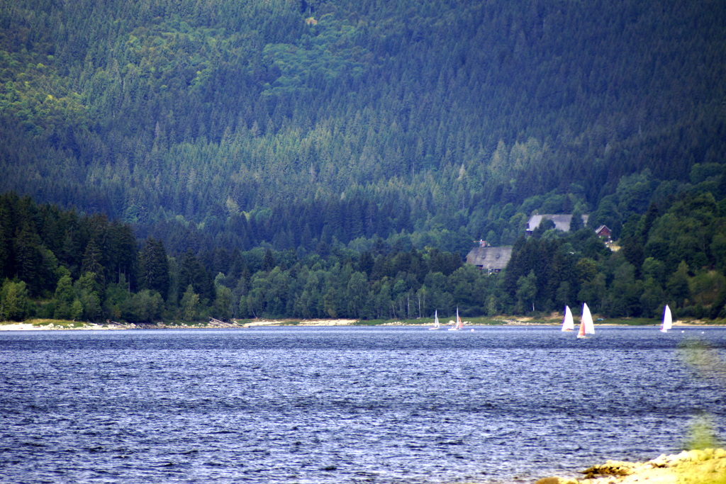 Schluchsee im Augustm 2015 Schluchsee im Augustm 2015