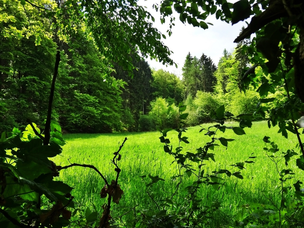 Bild 097 Bild 097