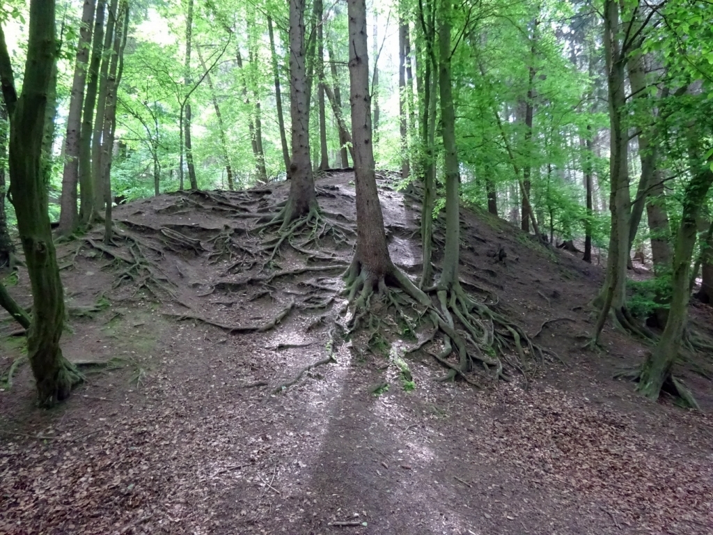 Bild 098 Bild 098