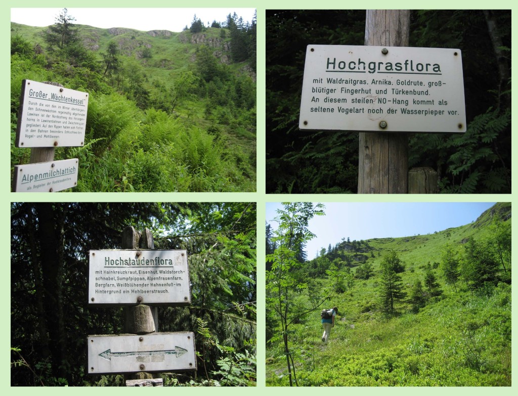 Herzogenhorn 9 Herzogenhorn 9