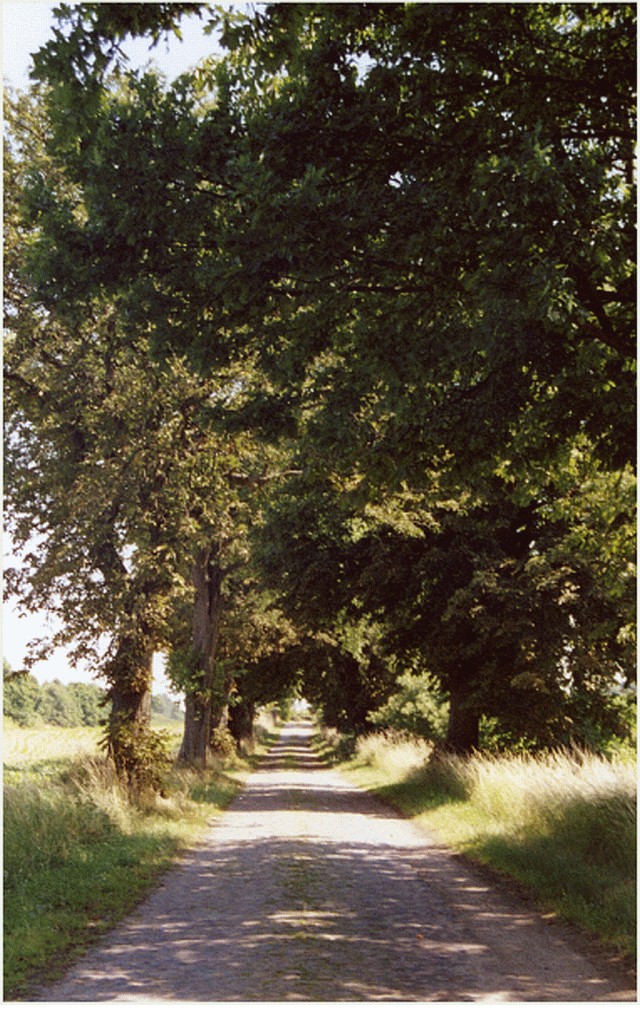 `Paddeltour auf der Warnow `Paddeltour auf der Warnow