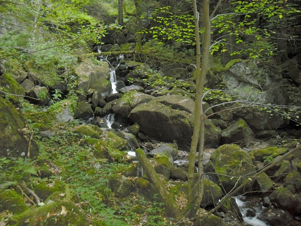 Teichschlucht Teichschlucht