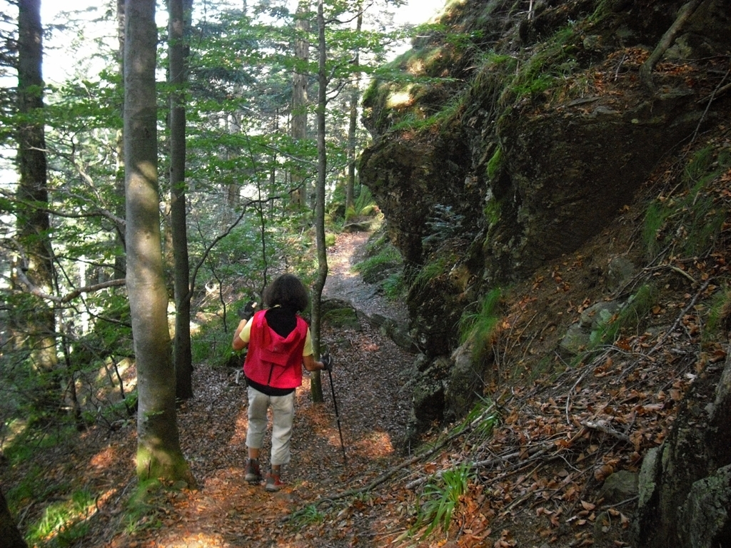Wildsauweg Wildsauweg