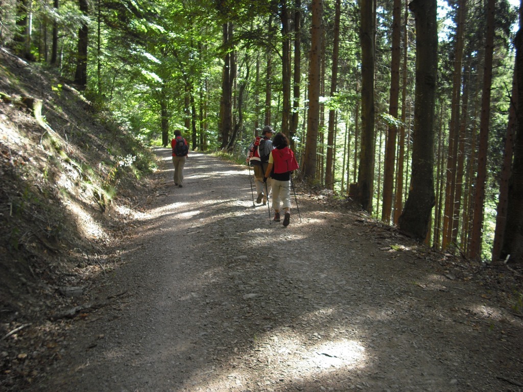 oberhalb Obertal oberhalb Obertal