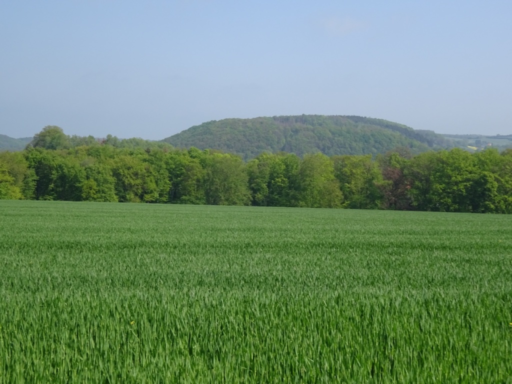 Bild 061 Bild 061