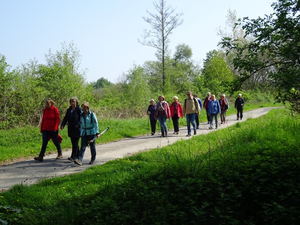 Bild 062 Bild 062