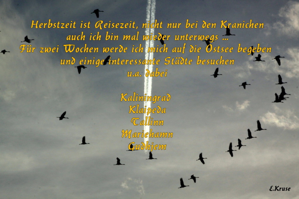 ©KapHorn ©KapHorn