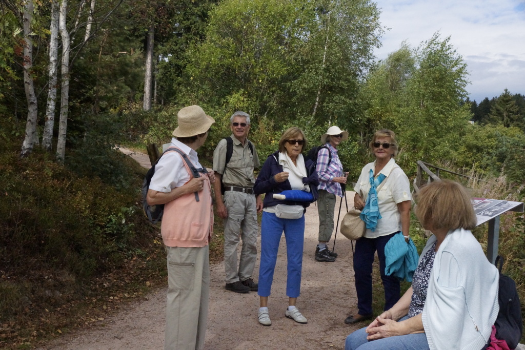 Schuchsee August 2015 Schuchsee August 2015