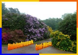 Rhododendronpark Rhododendronpark