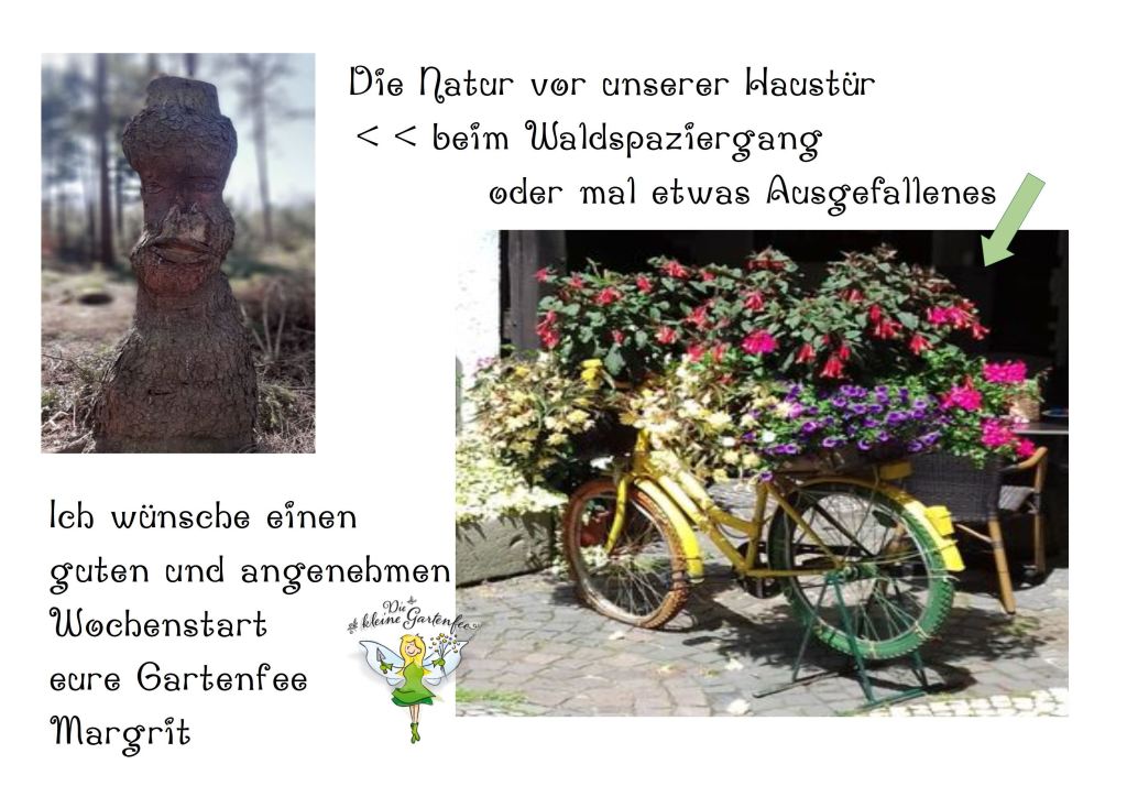 Natur ist etwas Besonderes Natur ist etwas Besonderes