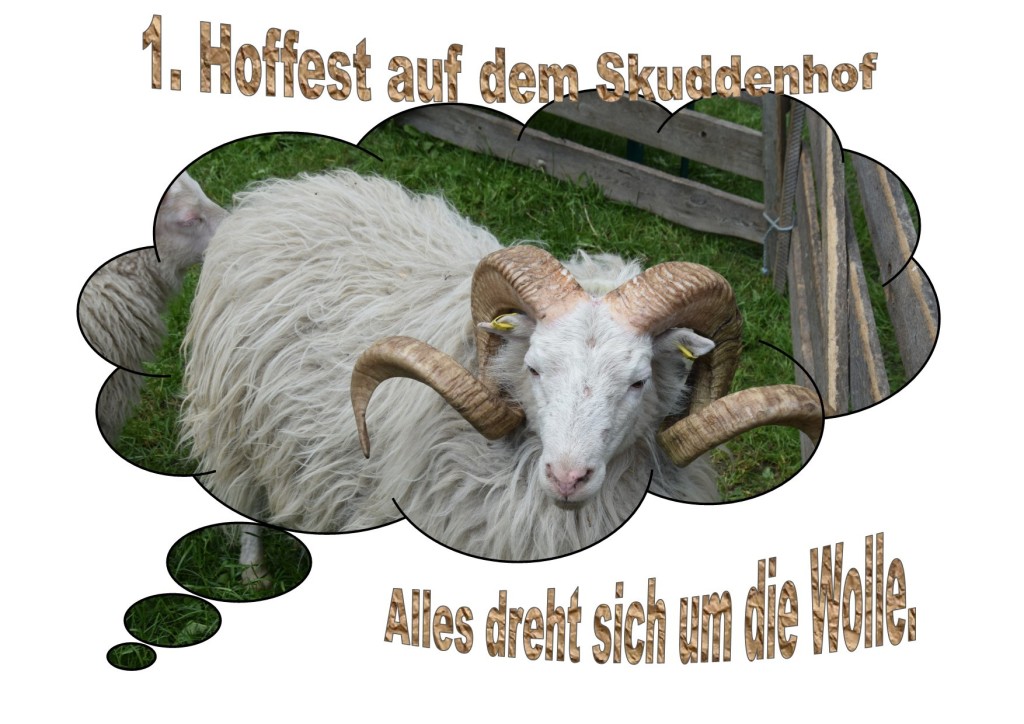 1. Hoffest auf dem Skuddenhof 1. Hoffest auf dem Skuddenhof