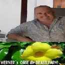 Werners Oase..... Werners Oase.....