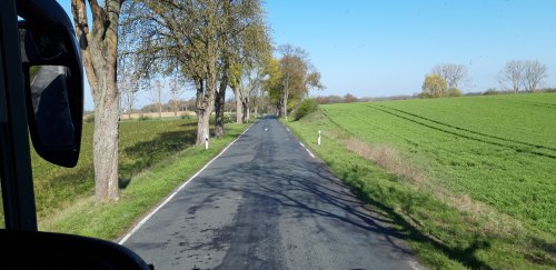 Gegend um Rheinsberg_Rose56 Gegend um Rheinsberg_Rose56