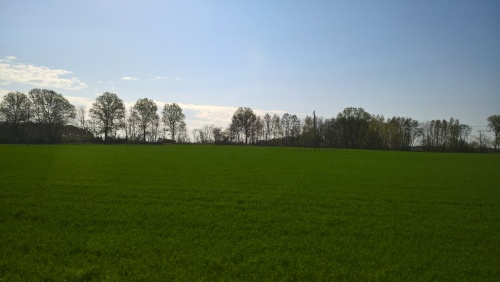 Uckermark_fidelis45 Uckermark_fidelis45