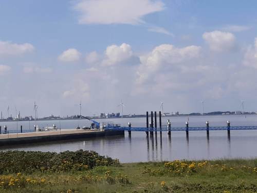 Ostfriesland_fidelis45 Ostfriesland_fidelis45