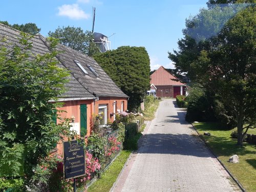 Ostfriesland_fidelis45 Ostfriesland_fidelis45