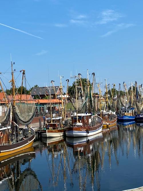 Ostfriesland_Sunny322 Ostfriesland_Sunny322