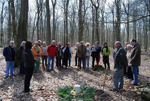 Scouts im FriedWald