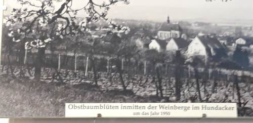 Heimatmuseum_Rose56 Heimatmuseum_Rose56