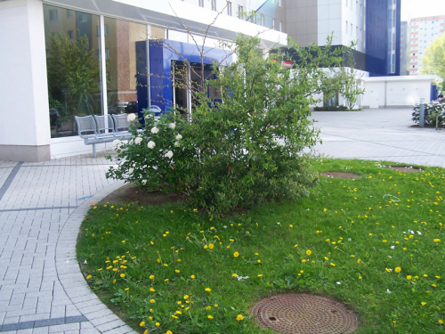 aussen_01 aussen_01