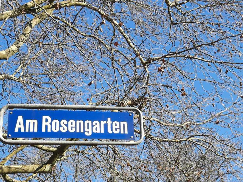 Rosengarten_Sunny322 Rosengarten_Sunny322