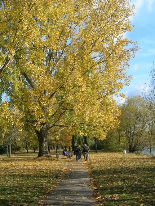 Wanderung_fidelis45 Wanderung_fidelis45