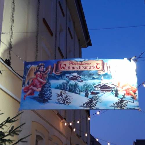 Rüdesheim2019_Rose56 Rüdesheim2019_Rose56