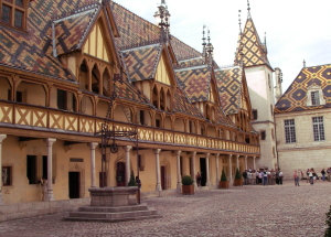 Burgund 28 Burgund 28