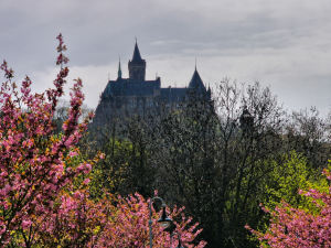 schloss_1 schloss_1