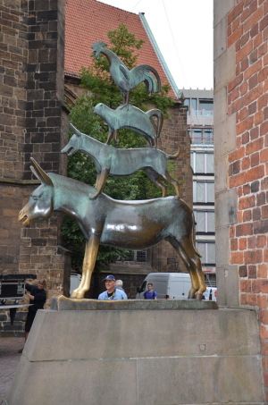 DSC_0138 DSC_0138