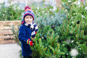Kleiner Junge beim Weihnachtsbaumkauf Kleiner Junge beim Weihnachtsbaumkauf