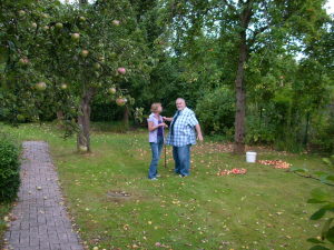 sommerfest sommerfest