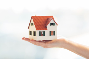 Haus in der Hand Haus in der Hand