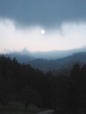 mond mond