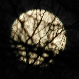 mond mond