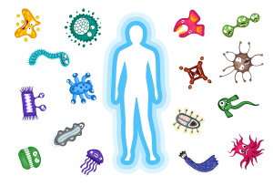 Immunsystem. Körper reflektieren Bakterien und Virusinfektion Angriff Immunsystem. Körper reflektieren Bakterien und Virusinfektion Angriff