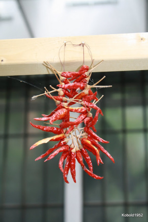 Chilli Chilli