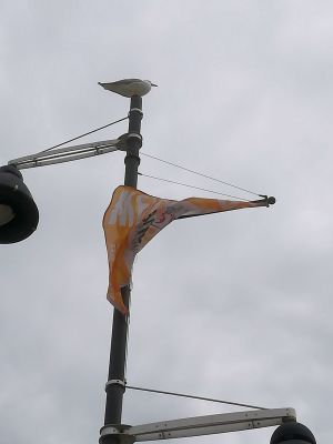 möwe am mast möwe am mast