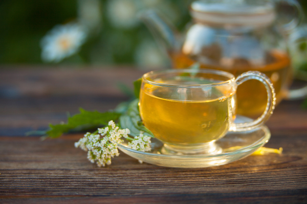 Glastasse mit Kräutertee Glastasse mit Kräutertee