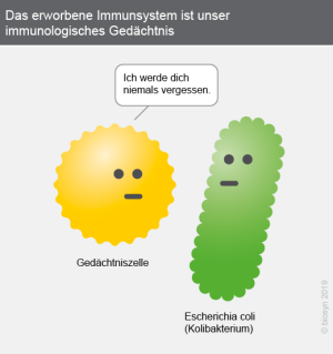 Infografik Infografik