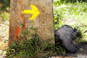 Wanderschuhe an einem Baum lehnend Wanderschuhe an einem Baum lehnend