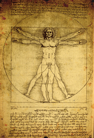 Zeichnung von Leonardo da Vinci Zeichnung von Leonardo da Vinci