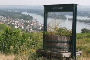 Rheingau004 Rheingau004