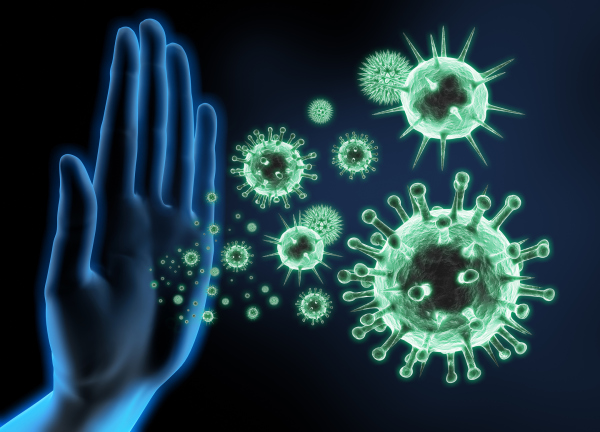 Darstellung des Immunsystem-Abwehrkonzepts Darstellung des Immunsystem-Abwehrkonzepts