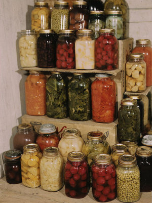 PreservedFood1.jpg PreservedFood1.jpg