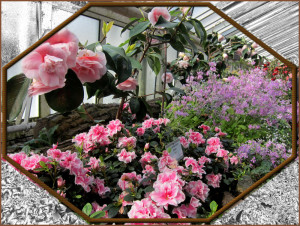 Im Botanischen Garten Im Botanischen Garten
