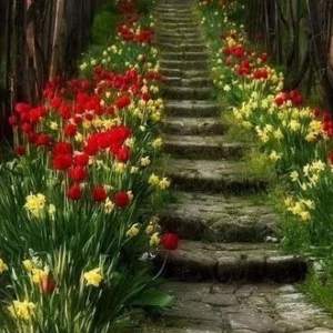 Stiege mit Blumen Stiege mit Blumen