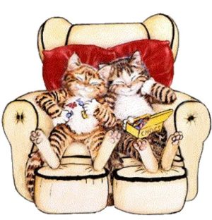 Katzen Katzen